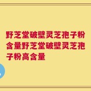 野芝堂破壁灵芝孢子粉含量野芝堂破壁灵芝孢子粉高含量
