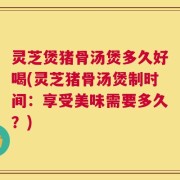 灵芝煲猪骨汤煲多久好喝(灵芝猪骨汤煲制时间：享受美味需要多久？)