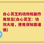 白心灵芝的功效和副作用禁忌(白心灵芝：功效大增，使用须知需谨慎)