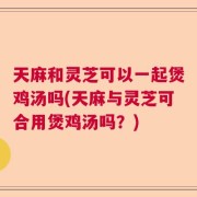 天麻和灵芝可以一起煲鸡汤吗(天麻与灵芝可合用煲鸡汤吗？)