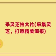 采灵芝拍大片(采集灵芝，打造精美海报)