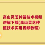 高山灵芝种苗技术视频讲解下载(高山灵芝种植技术实用视频教程)