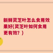 新鲜灵芝叶怎么食用效果好(灵芝叶如何食用更有效？)