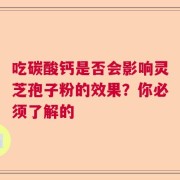 吃碳酸钙是否会影响灵芝孢子粉的效果？你必须了解的
