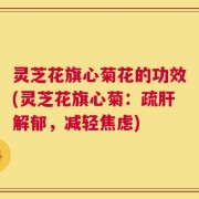 灵芝花旗心菊花的功效(灵芝花旗心菊：疏肝解郁，减轻焦虑)