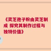 《灵芝孢子粉由灵芝制成 探究其制作过程与独特价值》