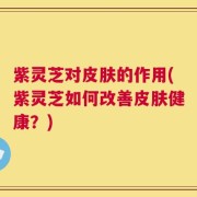 紫灵芝对皮肤的作用(紫灵芝如何改善皮肤健康？)