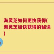 海灵芝如何更快获得(海灵芝加快获得的秘诀)