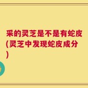 采的灵芝是不是有蛇皮(灵芝中发现蛇皮成分)