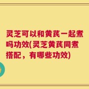 灵芝可以和黄芪一起煮吗功效(灵芝黄芪同煮搭配，有哪些功效)