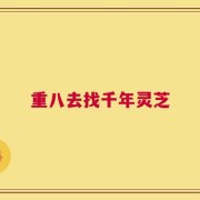 重八去找千年灵芝