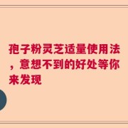 孢子粉灵芝适量使用法，意想不到的好处等你来发现