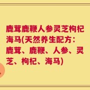 鹿茸鹿鞭人参灵芝枸杞海马(天然养生配方：鹿茸、鹿鞭、人参、灵芝、枸杞、海马)