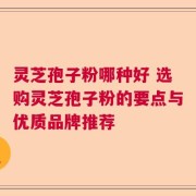灵芝孢子粉哪种好 选购灵芝孢子粉的要点与优质品牌推荐