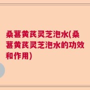 桑葚黄芪灵芝泡水(桑葚黄芪灵芝泡水的功效和作用)