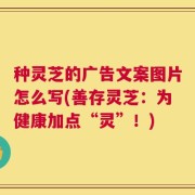 种灵芝的广告文案图片怎么写(善存灵芝：为健康加点“灵”！)