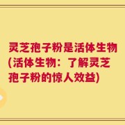 灵芝孢子粉是活体生物(活体生物：了解灵芝孢子粉的惊人效益)