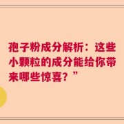孢子粉成分解析：这些小颗粒的成分能给你带来哪些惊喜？”