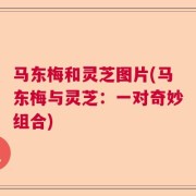 马东梅和灵芝图片(马东梅与灵芝：一对奇妙组合)