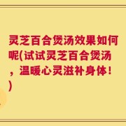 灵芝百合煲汤效果如何呢(试试灵芝百合煲汤，温暖心灵滋补身体！)