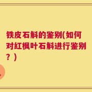 铁皮石斛的鉴别(如何对红枫叶石斛进行鉴别？)