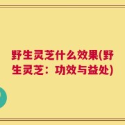 野生灵芝什么效果(野生灵芝：功效与益处)