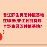 普江野生灵芝种植基地在哪里(普江县拥有哪个野生灵芝种植基地？)
