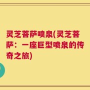 灵芝菩萨喷泉(灵芝菩萨：一座巨型喷泉的传奇之旅)