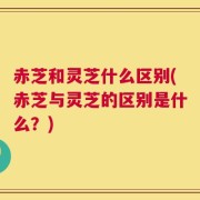 赤芝和灵芝什么区别(赤芝与灵芝的区别是什么？)