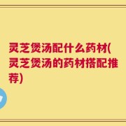 灵芝煲汤配什么药材(灵芝煲汤的药材搭配推荐)