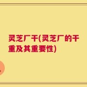 灵芝厂干(灵芝厂的干重及其重要性)