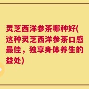 灵芝西洋参茶哪种好(这种灵芝西洋参茶口感最佳，独享身体养生的益处)