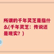 所谓的千年灵芝是指什么(千年灵芝：传说还是现实？)