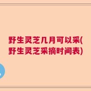 野生灵芝几月可以采(野生灵芝采摘时间表)