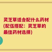 灵芝草适合配什么药材(配伍搭配：灵芝草的最佳药材选择)