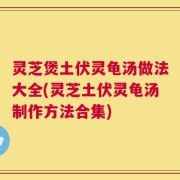 灵芝煲土伏灵龟汤做法大全(灵芝土伏灵龟汤制作方法合集)