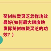 葵树粒煲灵芝怎样功效最好(如何最大限度地发挥葵树粒煲灵芝的功效？)