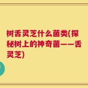 树舌灵芝什么菌类(探秘树上的神奇菌——舌灵芝)