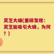 灵芝大蜂(重磅发现：灵芝能吸引大蜂，为何？)