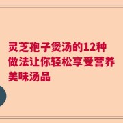 灵芝孢子煲汤的12种做法让你轻松享受营养美味汤品