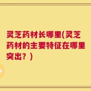 灵芝药材长哪里(灵芝药材的主要特征在哪里突出？)