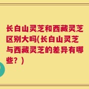 长白山灵芝和西藏灵芝区别大吗(长白山灵芝与西藏灵芝的差异有哪些？)
