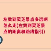 左贡到灵芝景点多远啊怎么走(左贡到灵芝景点的距离和路线指引)