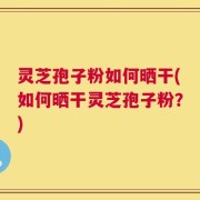 灵芝孢子粉如何晒干(如何晒干灵芝孢子粉？)