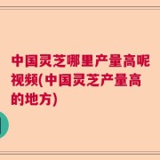 中国灵芝哪里产量高呢视频(中国灵芝产量高的地方)