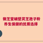 徽芝堂破壁灵芝孢子粉 养生保健的优质选择