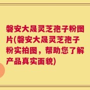 磐安大晟灵芝孢子粉图片(磐安大晟灵芝孢子粉实拍图，帮助您了解产品真实面貌)