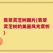 翡翠灵芝树图片(翡翠灵芝树的美丽风光赏析)