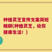 种植灵芝宣传文案简短精辟(种植灵芝，给你健康生活！)