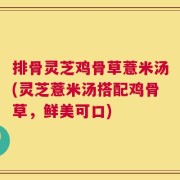 排骨灵芝鸡骨草薏米汤(灵芝薏米汤搭配鸡骨草，鲜美可口)